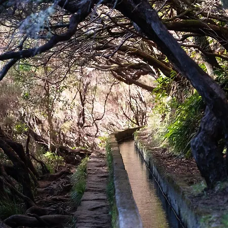 Ourmadeira - Seaview Apartment, Countryside Daire
