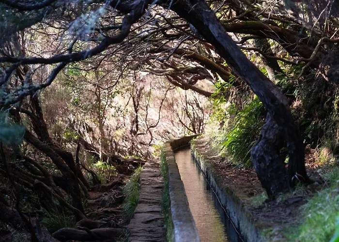 Ourmadeira - Seaview Appartamento